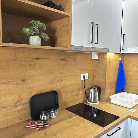 Апартаменты Apartmanjagodinaana *